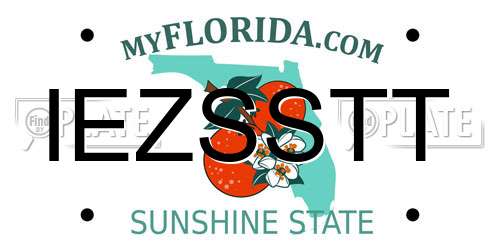 IEZSSTT Florida License Plate