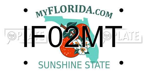 IF02MT Florida License Plate