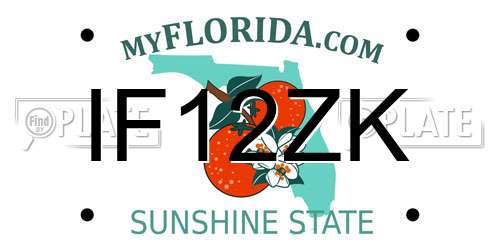 IF12ZK Florida License Plate
