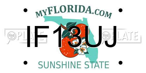 IF13UJ Florida License Plate
