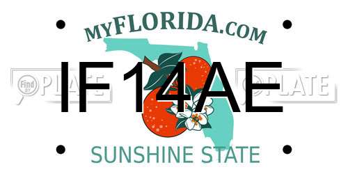 IF14AE Florida License Plate