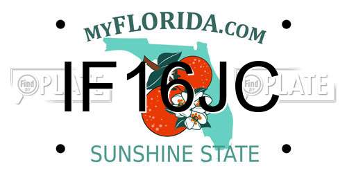 IF16JC Florida License Plate
