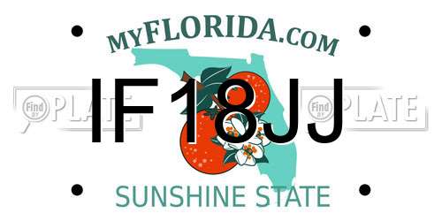 IF18JJ Florida License Plate
