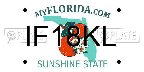IF18KL Florida License Plate