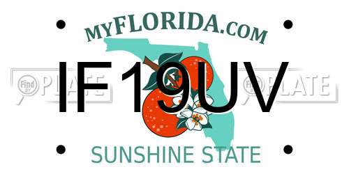 IF19UV Florida License Plate