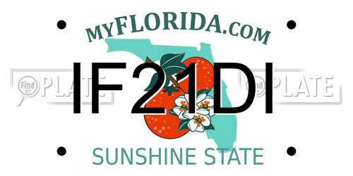 IF21DI Florida License Plate
