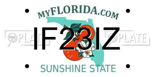 IF23IZ Florida License Plate