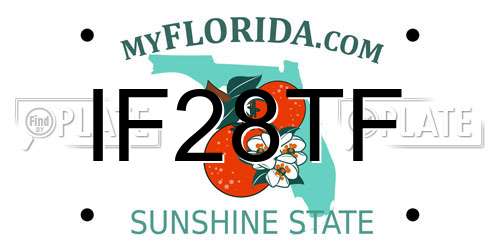 IF28TF Florida License Plate
