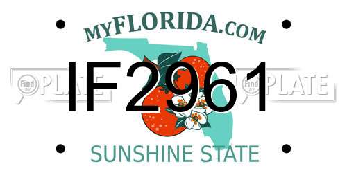 IF2961 Florida License Plate