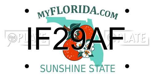 IF29AF Florida License Plate