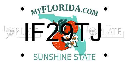IF29TJ Florida License Plate