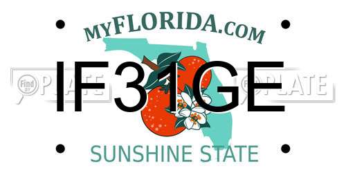 IF31GE Florida License Plate