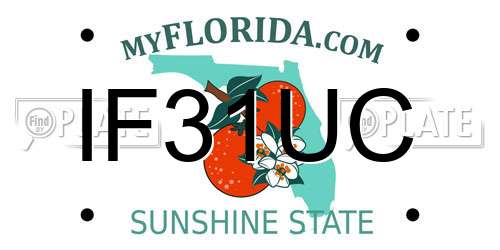IF31UC Florida License Plate