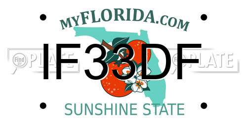 IF33DF Florida License Plate