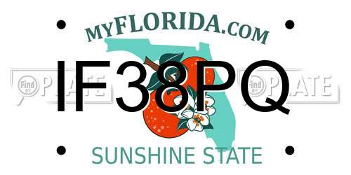 IF38PQ Florida License Plate