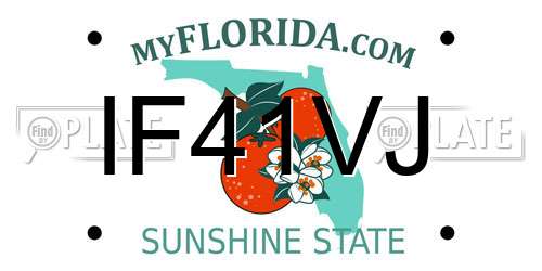 IF41VJ Florida License Plate