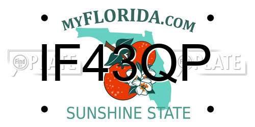 IF43QP Florida License Plate