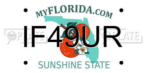 IF49UR Florida License Plate