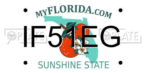 IF51EG Florida License Plate