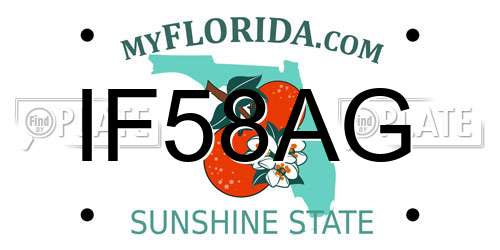 IF58AG Florida License Plate