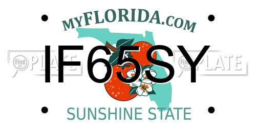 IF65SY Florida License Plate