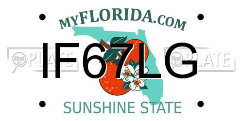 IF67LG Florida License Plate