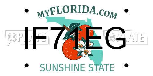 IF71EG Florida License Plate