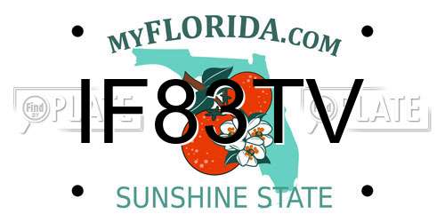 IF83TV Florida License Plate