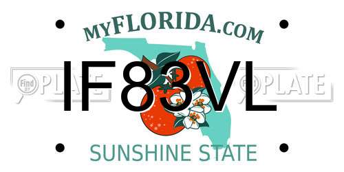 IF83VL Florida License Plate