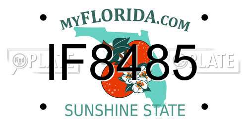 IF8485 Florida License Plate