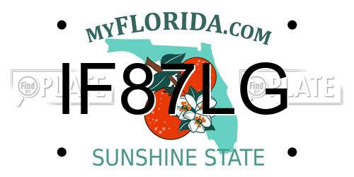 IF87LG Florida License Plate