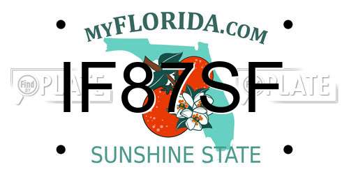 IF87SF Florida License Plate