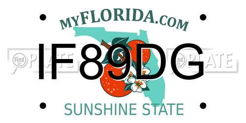 IF89DG Florida License Plate