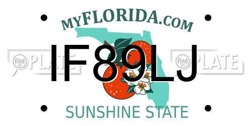 IF89LJ Florida License Plate