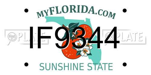 IF9344 Florida License Plate