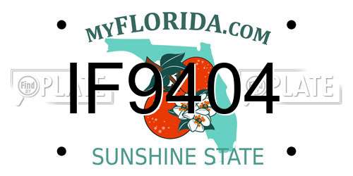 IF9404 Florida License Plate