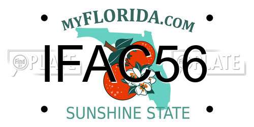 IFAC56 Florida License Plate