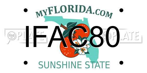 IFAC80 Florida License Plate
