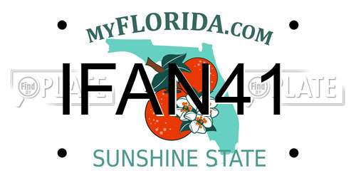 IFAN41 Florida License Plate