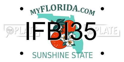 IFBI35 Florida License Plate
