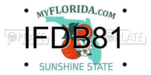 IFDB81 Florida License Plate