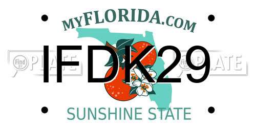 IFDK29 Florida License Plate