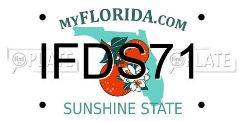 IFDS71 Florida License Plate
