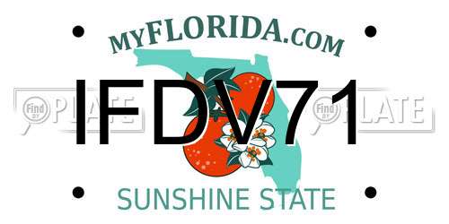IFDV71 Florida License Plate