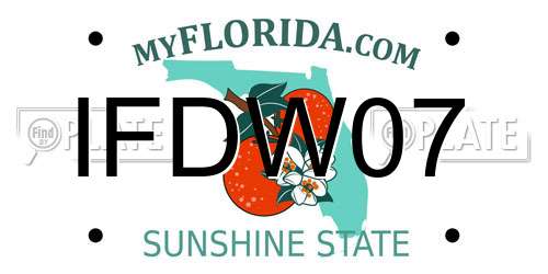 IFDW07 Florida License Plate