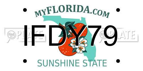 IFDY79 Florida License Plate
