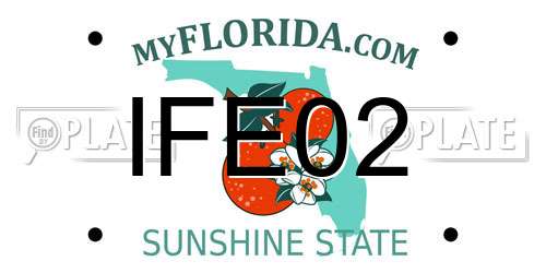 IFE02 Florida License Plate