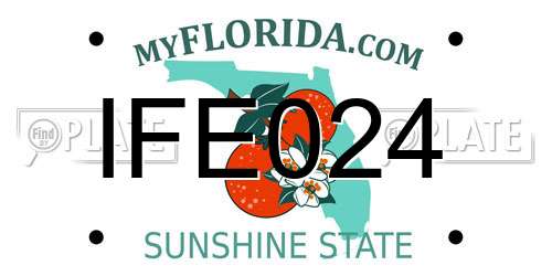 IFE024 Florida License Plate