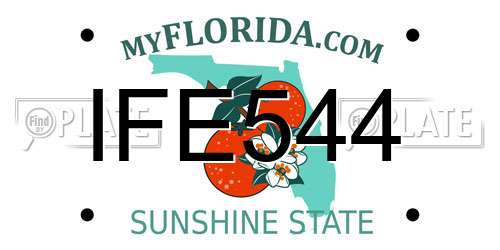 IFE544 Florida License Plate