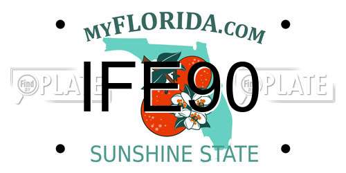 IFE90 Florida License Plate